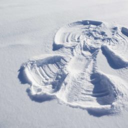 The Miracle of Snow Angels